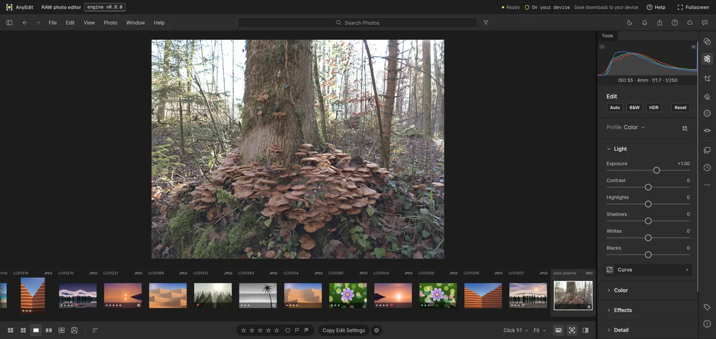 The RAW photo editor with a Pixel 4a .dng photo open: exposure set to +1.00, the histogram above it, and the imported pixls-pixel4a DNG in the filmstrip